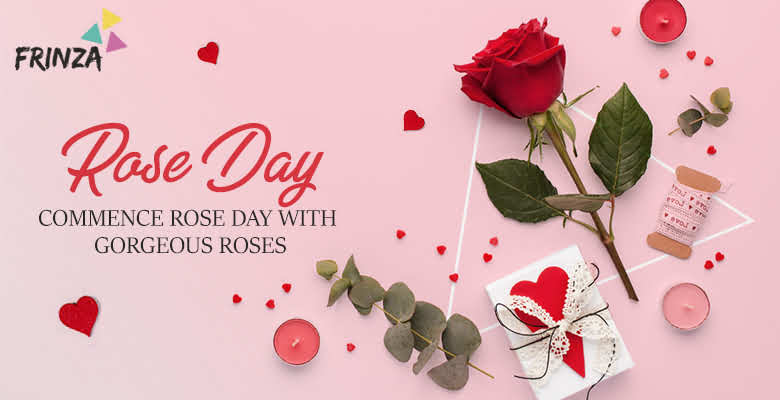Rose Day : Commence Rose…