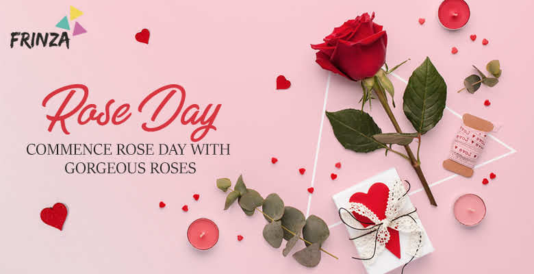 Rose Day : Commence Rose…