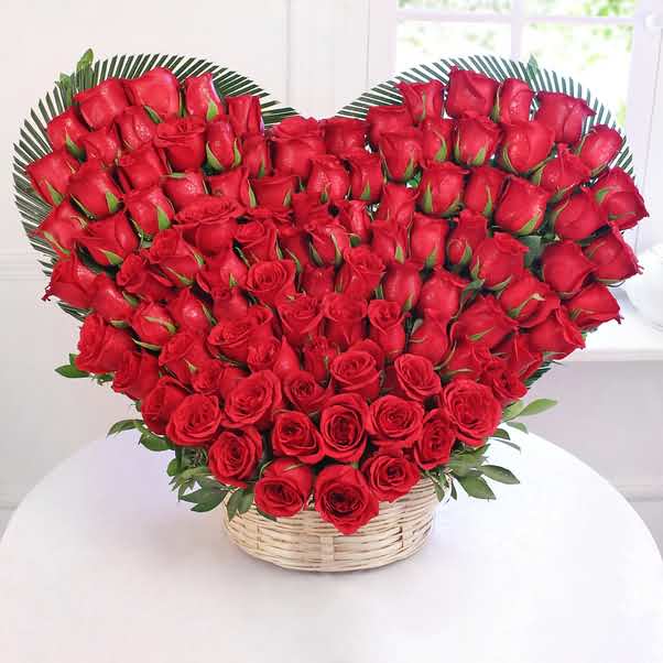 Heart of 100 Red Roses