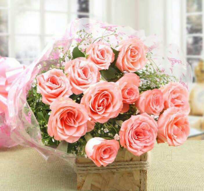 Light Pink Roses