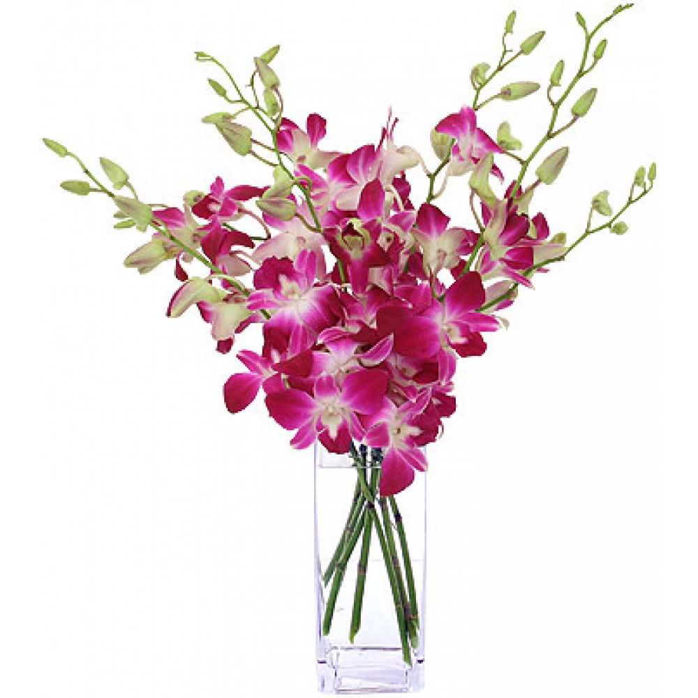 Gorgeous Orchids Vase