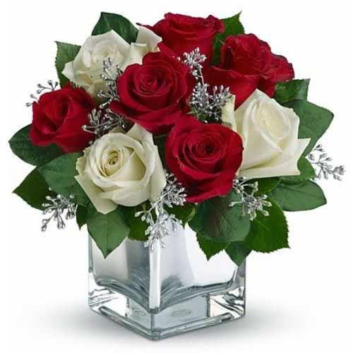 Graceful red and white