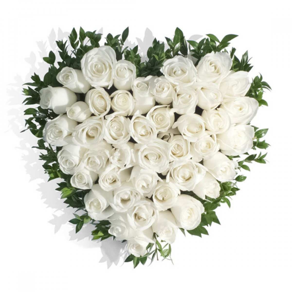 White Rose Heart