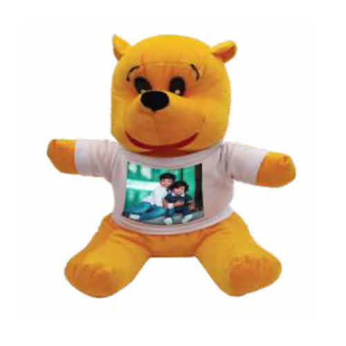Photo Personalized Teddy