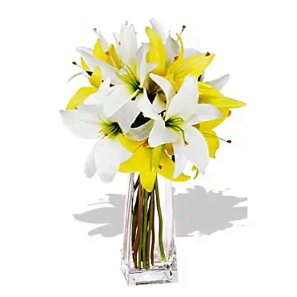 Bouquet of Yellow and White Lilies