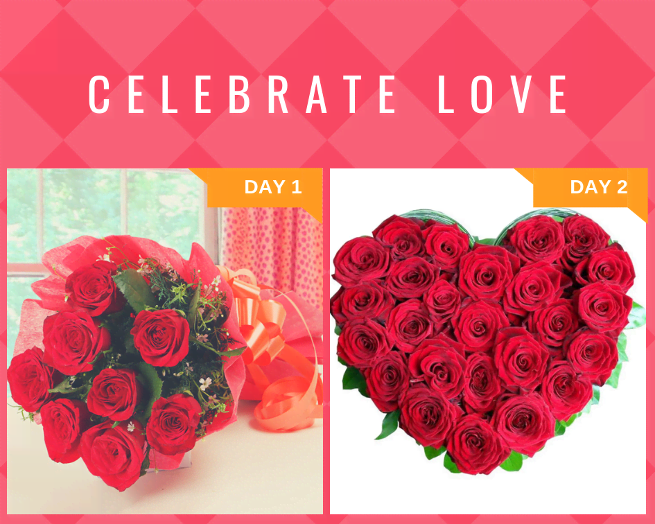 2 Days Love Serenades