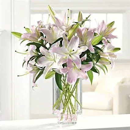 Vase of Pink Lily