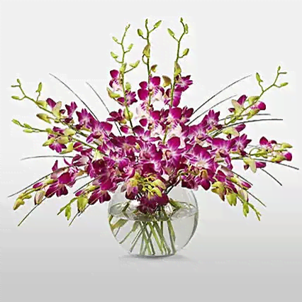 Purple Orchid Vase