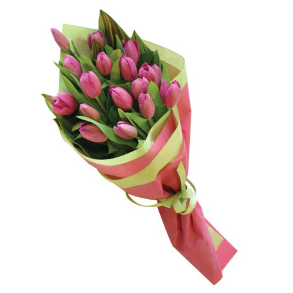Pink tulips in paper packing